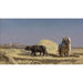 Reproductie van het schilderij Egyptische graanmolens schilderij - Jean-Léon Gérôme