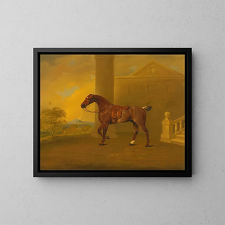 Roan Hack - Benjamin Marshall — ingelijst kunstwerk aan de muur
