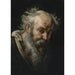 Reproduction of the painting Head of a bearded man - Bernardo Strozzi