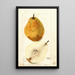 Reproductie van het schilderij Pyrus communis Kieffer - Bertha Heiges