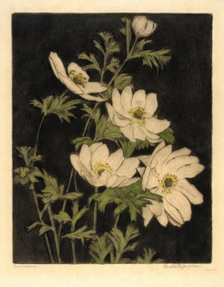 Bertha Jaques - Anemones.webp