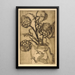 Artichoke - Bertha Jaques | Painting — artwork view