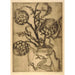 Artichoke - Bertha Jaques | Painting — framed artwork on a wall
