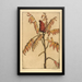 Sumac - Bertha Jaques — framed artwork on a wall