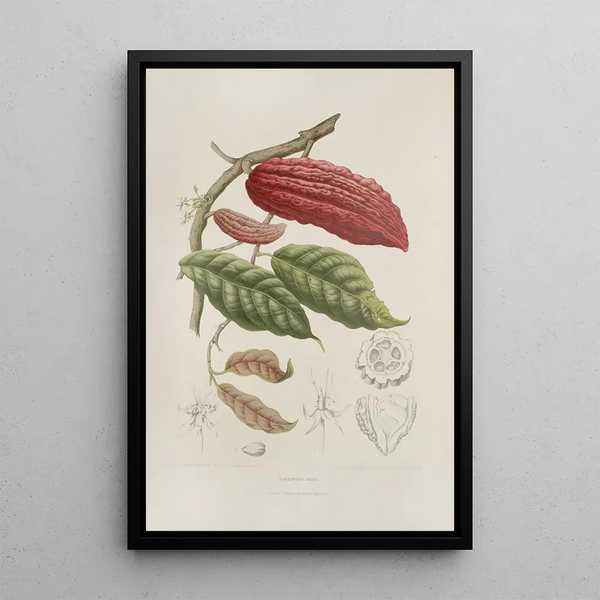 Flowers, fruits and foliage from the island of Java Pl04 - Berthe Hoola van Nooten — framed artwork on a wall