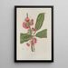 Bloemen, fruit en bladeren uit het eiland Java Pl29 - Berthe Hoola van Nooten — ingelijst kunstwerk aan de muur