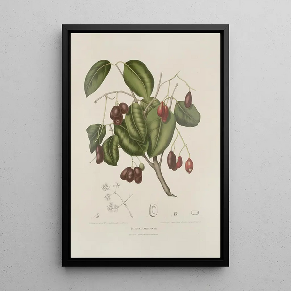 Reproductie van het schilderij Bloemen, vruchten en bladeren uit het eiland Java Pl32 - Berthe Hoola van Nooten