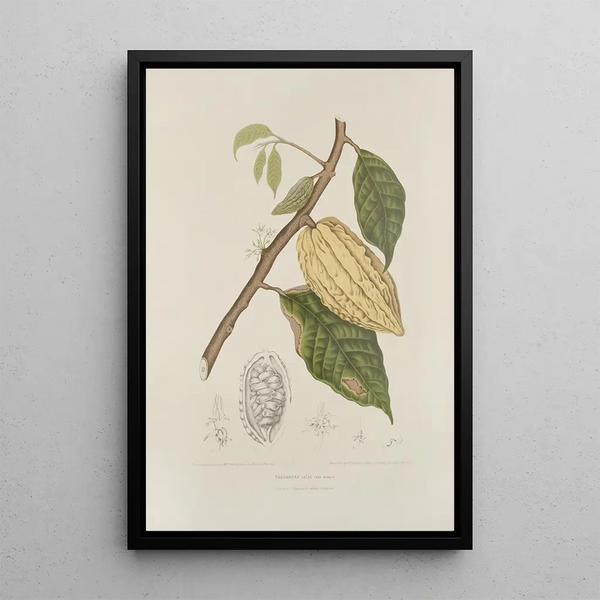 Reproductie van het schilderij Bloemen, vruchten en bladeren uit het eiland Java Pl35 - Berthe Hoola van Nooten
