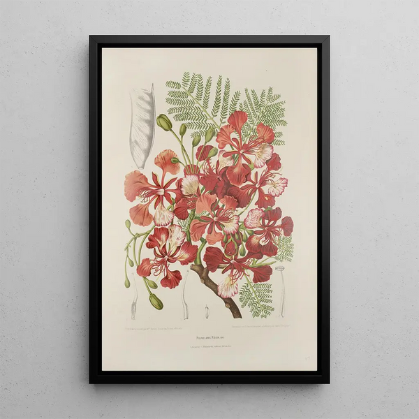 Reproductie van het schilderij Bloemen, fruit en bladeren uit het eiland Java Pl37 - Berthe Hoola van Nooten
