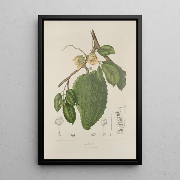Reproductie van het schilderij Bloemen, vruchten en bladeren uit het eiland Java Pl39 - Berthe Hoola van Nooten