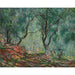 Reproductie van het schilderij Houten olijfbomen in de Moreno-tuinen - Claude Monet