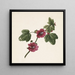 van een tak met paarse bloemen - M van Gijselaar — ingelijst kunstwerk aan de muur