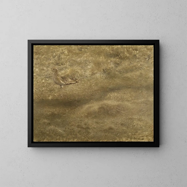 Kwartelgrasmus - Bruno Liljefors — ingelijst kunstwerk aan de muur