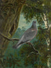 Pigeon colombin - Bruno Liljefors — artwork view