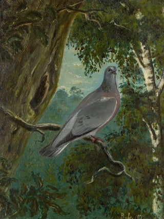 Bruno Liljefors - Stock Dove.webp