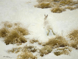 Bruno Liljefors - Vinterhare Bland Tuvor The Snow Hare.webp