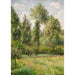 Wilgen in Éragny - Camille Pissarro — weergave van het kunstwerk