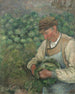 De Tuinier, oude boer met een kool - Camille Pissarro — weergave van het kunstwerk