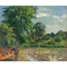 Reproductie van het schilderij van Kanaries op de Montfoucault-vijver - Camille Pissarro
