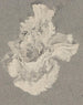 Azalée - Carel Adolph Lion Cachet — weergave van het kunstwerk