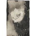 Reproductie van het schilderij Bloem - Carel Adolph Lion Cachet
