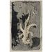 Reproductie van het schilderij Bloem Orchidee 1874 1945 - Carel Adolph Lion Cachet