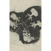 Studie van bloem - Carel Adolph Lion Cachet — weergave van het kunstwerk