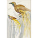Reproductie van het schilderij Groot paradijsvogel - Carel Adolph Lion Cachet