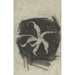 Reproductie van het schilderij Orchidee - Carel Adolph Lion Cachet