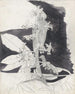 Studie van de brandnetelplanten - Carel Adolph Lion Cachet — weergave van het kunstwerk