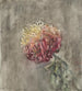 Rode Chrysantemum - Carel Adolph Lion Cachet — weergave van het kunstwerk