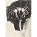 Studie van kamperfoelie - Carel Adolph Lion Cachet — weergave van het kunstwerk