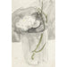 Reproductie van het schilderij Bloemwit in een glas - Carel Adolph Lion Cachet