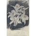 Lys blancs - Carel Adolph Lion Cachet — weergave van het kunstwerk