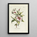 Althaea frutex - Carington Bowles — ingelijst kunstwerk aan de muur