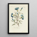 Liseron - Carington Bowles — ingelijst kunstwerk aan de muur