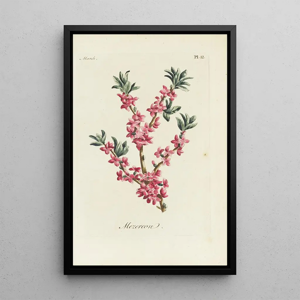 Bois-joli - Carington Bowles — ingelijst kunstwerk aan de muur