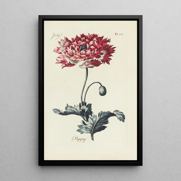 Reproductie van het schilderij Poppy - Carington Bowles