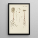 Illustratie van wilde bomen, vaste planten en struiken Pl033 - Carl Christoph Oelhafen von Schöllenbach — ingelijst kunstwerk aan de muur