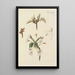 Illustration of wild trees, perennial plants, and shrubs Pl082 - Carl Christoph Oelhafen von Schöllenbach — framed artwork on a wall