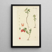Illustration of wild trees, perennial plants, and shrubs Pl133 - Carl Christoph Oelhafen von Schöllenbach — framed artwork on a wall