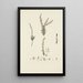 Illustration of wild trees, shrubs, and bushes Pl149 - Carl Christoph Oelhafen von Schöllenbach — framed artwork on a wall