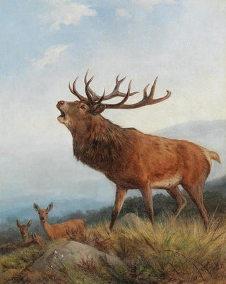 Carl Friedrich Deiker - A Bellowing Stag.webp