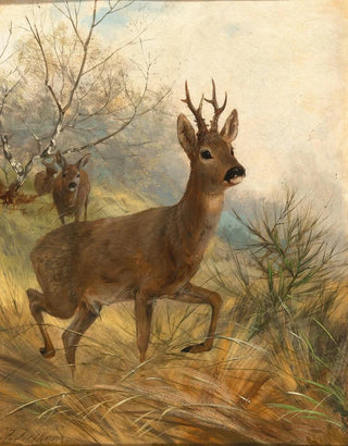 Carl Friedrich Deiker - A Buck and a Doe.webp
