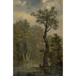Carl Gustav Carus - Waldlandschaft.webp