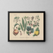 Manuel pratique de botanique en mots et en images Pl49 - Carl Hoffmann — ingelijst kunstwerk aan de muur