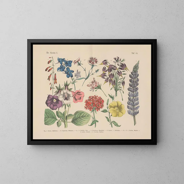 Manuel de botanique pratique en mots et en images Pl54 - Carl Hoffmann — framed artwork on a wall