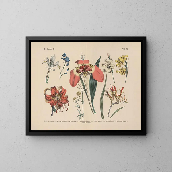 Practical Manual of Botany in Words and Images Painting Pl59 - Carl Hoffmann — framed artwork on a wall