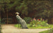 van Dame lisant dans un parc - Carl Scherres — weergave van het kunstwerk