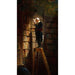 Reproductie van het schilderij De bibliotheekrat - Carl Spitzweg